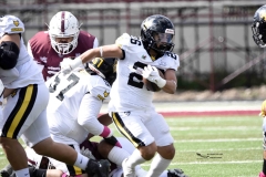 zorros-cetys-buhos-ipn-onefa-2024-20