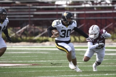 zorros-cetys-buhos-ipn-onefa-2024-22