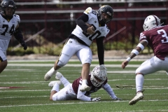 zorros-cetys-buhos-ipn-onefa-2024-23