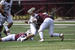 zorros-cetys-buhos-ipn-onefa-2024-24