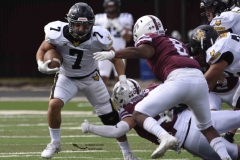 zorros-cetys-buhos-ipn-onefa-2024-25