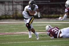 zorros-cetys-buhos-ipn-onefa-2024-26