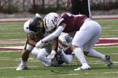 zorros-cetys-buhos-ipn-onefa-2024-27