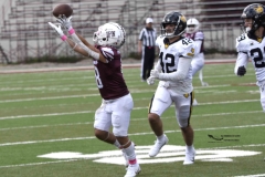 zorros-cetys-buhos-ipn-onefa-2024-36