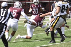 zorros-cetys-buhos-ipn-onefa-2024-38