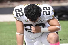 zorros-cetys-buhos-ipn-onefa-2024-4