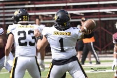 zorros-cetys-buhos-ipn-onefa-2024-40