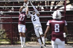 zorros-cetys-buhos-ipn-onefa-2024-41