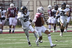 zorros-cetys-buhos-ipn-onefa-2024-44