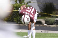 zorros-cetys-buhos-ipn-onefa-2024-48