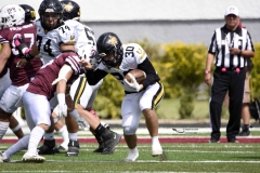 zorros-cetys-buhos-ipn-onefa-2024-55