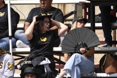 zorros-cetys-buhos-ipn-onefa-2024-6