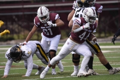 zorros-cetys-buhos-ipn-onefa-2024-61