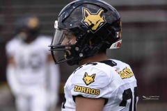 zorros-cetys-buhos-ipn-onefa-2024-76