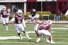 zorros-cetys-buhos-ipn-onefa-2024-80