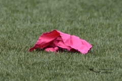 zorros-cetys-buhos-ipn-onefa-2024-84