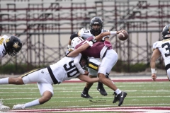 zorros-cetys-buhos-ipn-onefa-2024-91