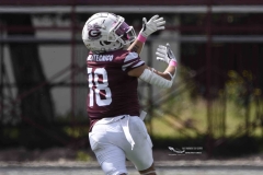 zorros-cetys-buhos-ipn-onefa-2024-95