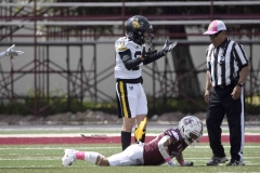 zorros-cetys-buhos-ipn-onefa-2024-97